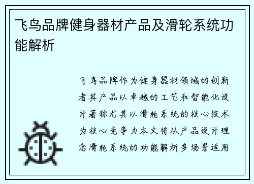 飞鸟品牌健身器材产品及滑轮系统功能解析